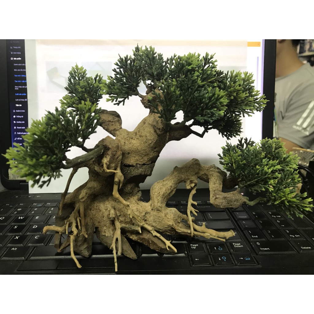 Cây giả gỗ bonsai mini dành cho bể cá cảnh, cây bosai có gắn lá nhựa