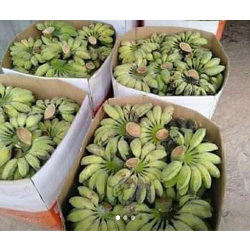 Chuối sáp miền tây
