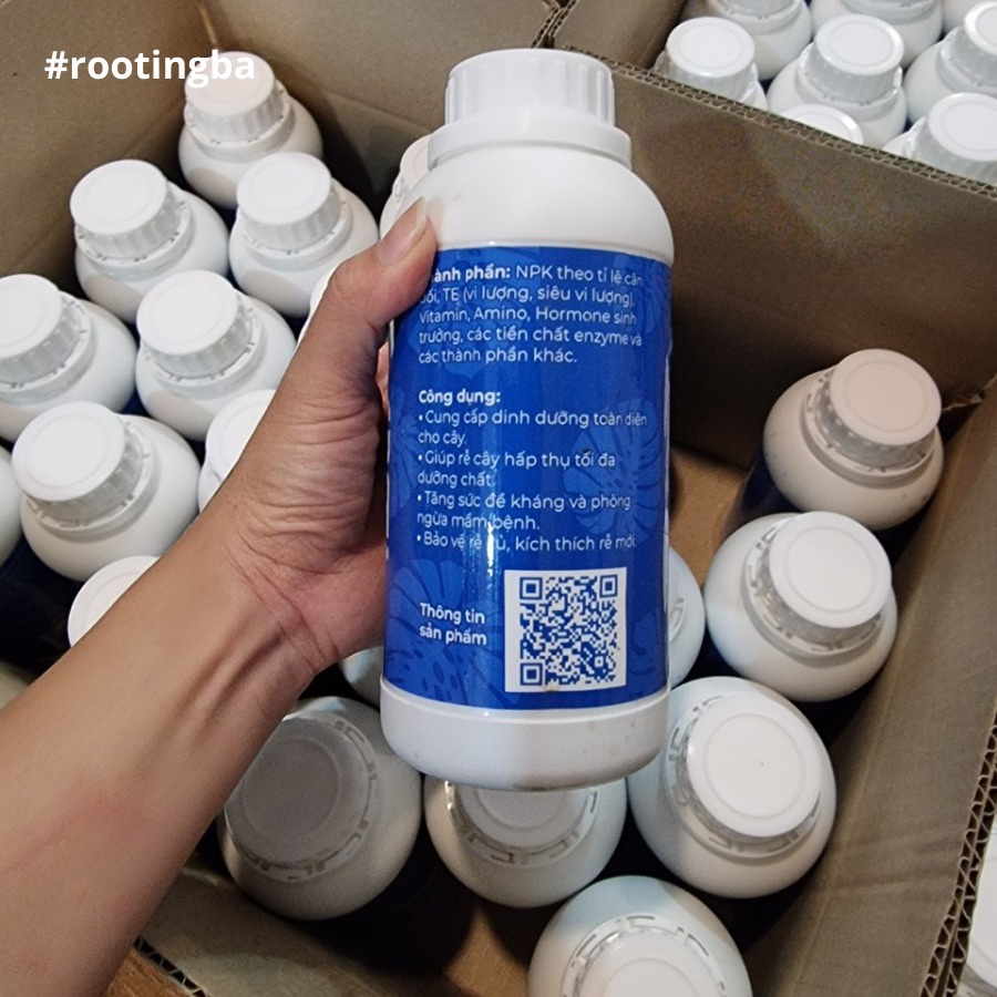 Nước Tưới Dinh dưỡng – Kích rễ Rooting BA (chai 500ml) siêu ra rễ dành cho Sen Đá, Kiểng Lá, Kie Phong Lan