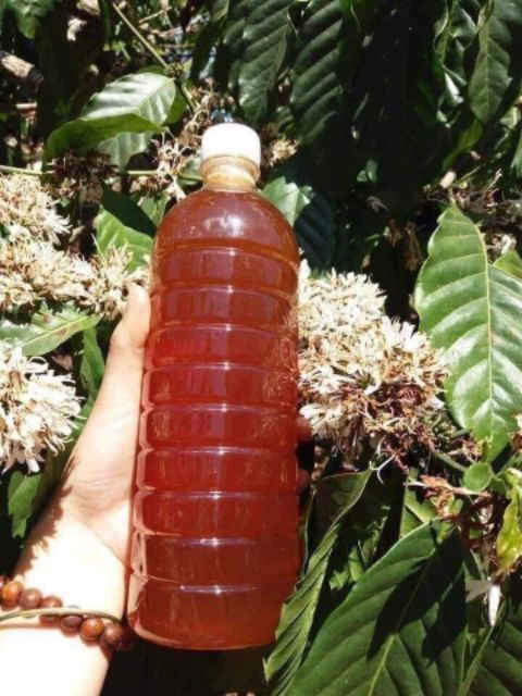 79k 1 lít Mật Ong Hoa Cafe Hoa Dalak