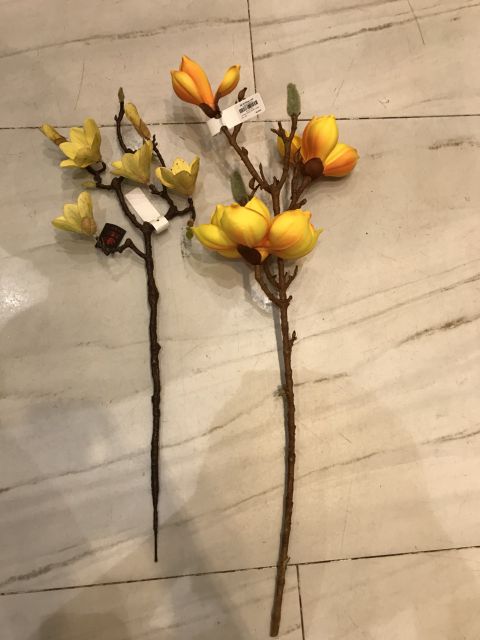 cành hoa mộc lan cao su