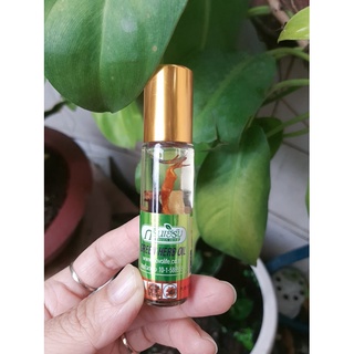 Lốc 12 Chai Dầu lăn dầu gió nhân sâm Green Herb Thái Lan Chính Hãng