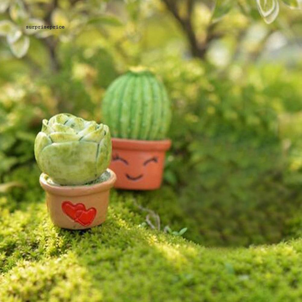 Mô hình chậu cây xương rồng làm từ nhựa resin dùng trang trí tiểu cảnh đa năng