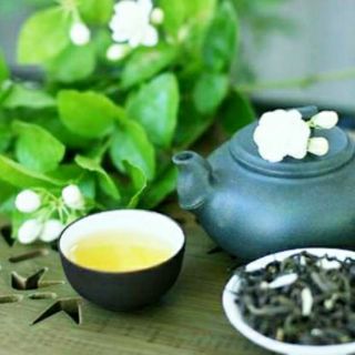 Cây lài ta trà lài thơm