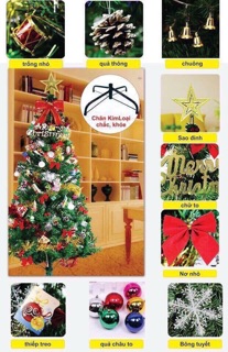 Cây thông noel