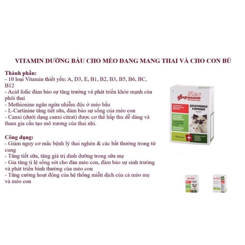 Vitamin cho mèo bầu dinh dưỡng cho mèo con Neo bổ sung canxi Surica NF01 (60v)