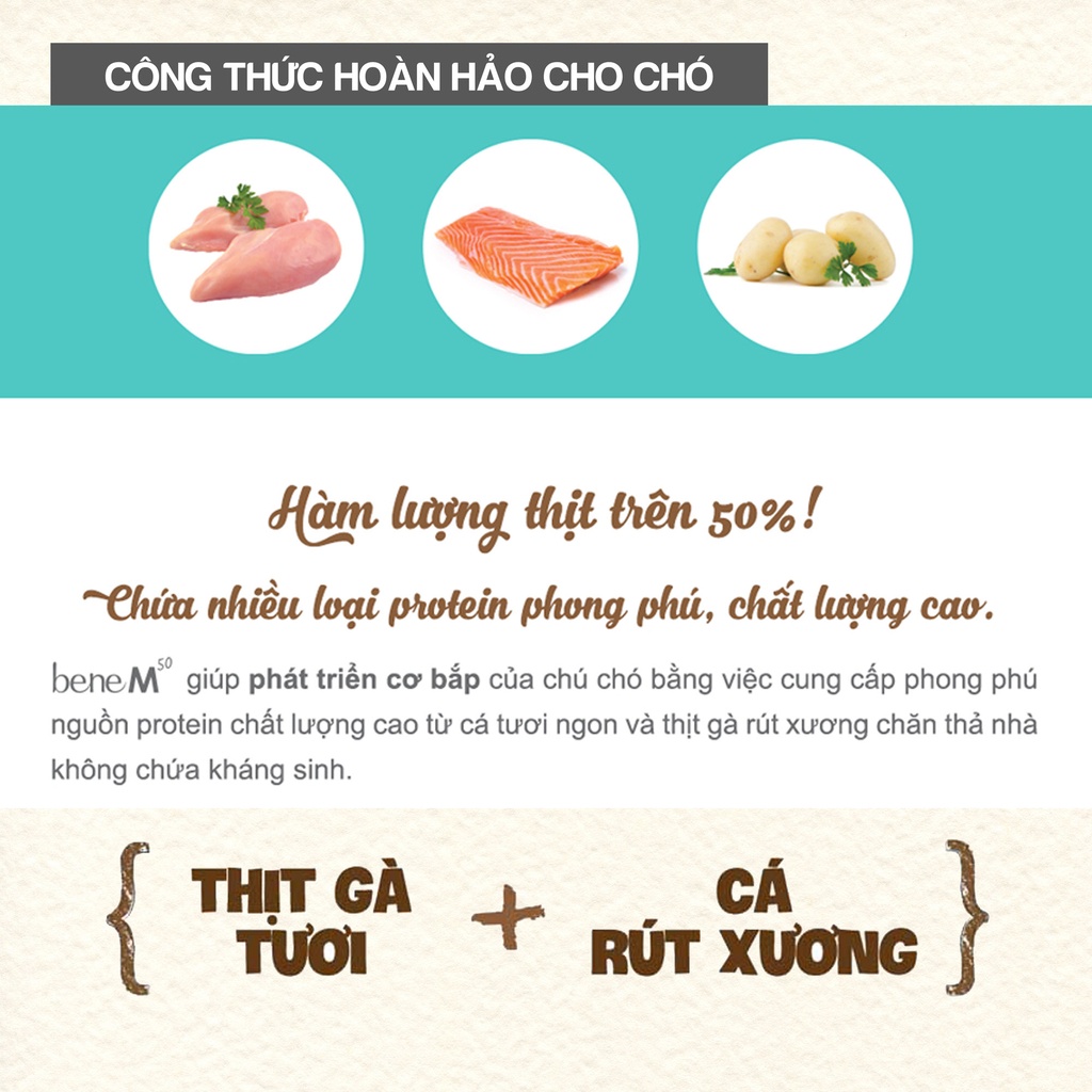 𝗨𝗥𝗕𝗔𝗡_𝗡𝗔𝗧𝗨𝗥𝗔𝗟 𝗖𝗢𝗥𝗘 𝗕𝗘𝗡𝗘 𝗠𝟱𝟬_Hạt Thịt Gà &amp; Cá Hồi cho Chó