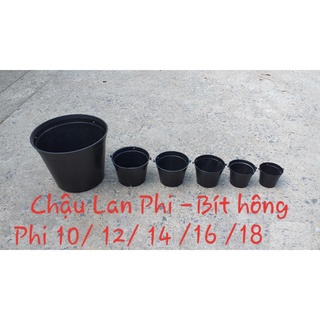 Giá sỉ - combo 50 chậu bít hông trồng lan, cây cảnh phi 10-12-14-16-18