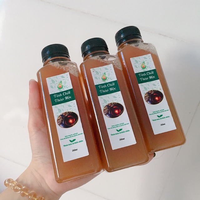 10 Tinh dầu thảo mộc