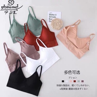 áo chip về sll đủ size từ 32 den 39