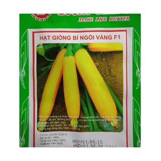 Hạt giống bí ngồi vàng 30 hạt