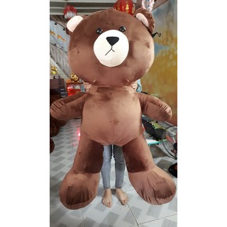 Gấu bông Brown 1M