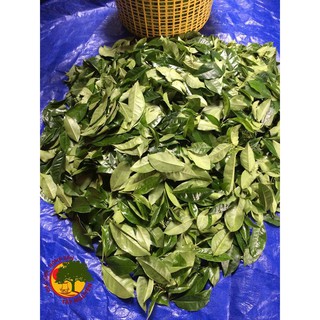BỘT TRÀ XANH NGHỆ ĐEN 200GR