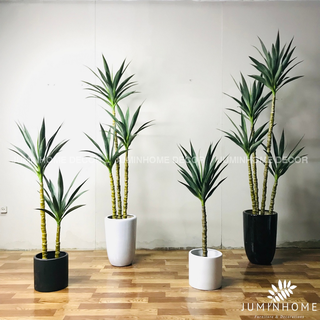 Cây giả, Cây thiết mộc lan giả, phát tài núi cao 180cm - Cây giả decor trang trí nhà cửa nội thất phòng khách phòng ngủ