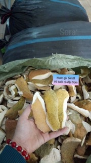Dầu gội, xả bồ kết cô đặc