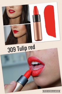 Son kiko velvet passion