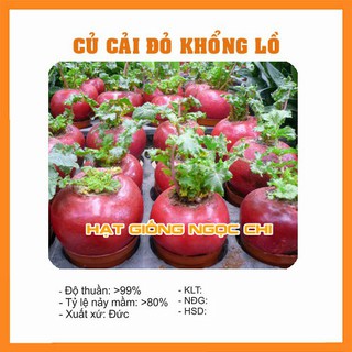 Hạt Giống Củ Cải Đỏ Khổng Lồ - 10 Hạt