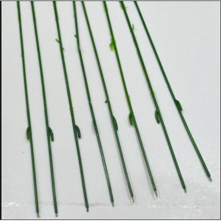 Kẽm cành bọc nhựa làm hoa (1 bó 100 cành) dài 30 cm