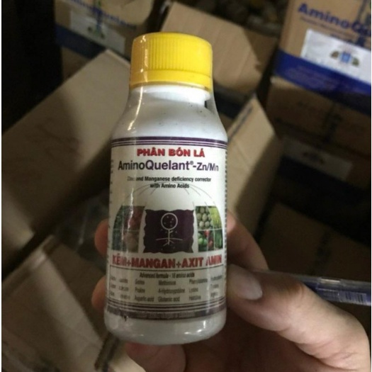 AMINO Zn/Mn 100ml Phân bón lá bổ sung kịp thời axit amin cho cây trồng