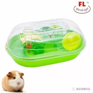 Lồng hamster biển Hawaii tươi mát