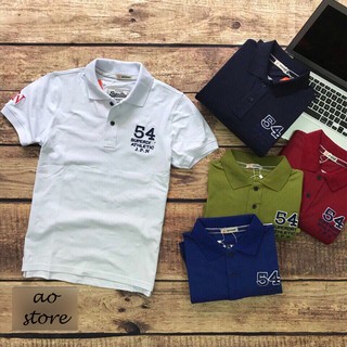 Áo thun nam COTTON cá sấu Dry