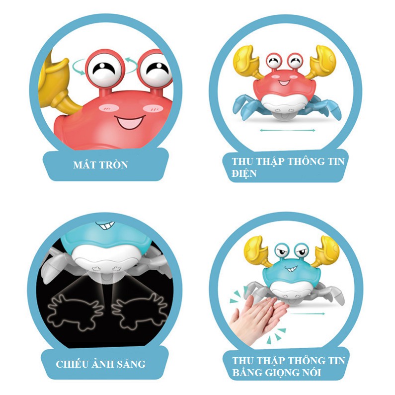 Đồ Chơi Cua Điều Khiển Bằng Giọng Nói Cho Bé | BigBuy360 - bigbuy360.vn