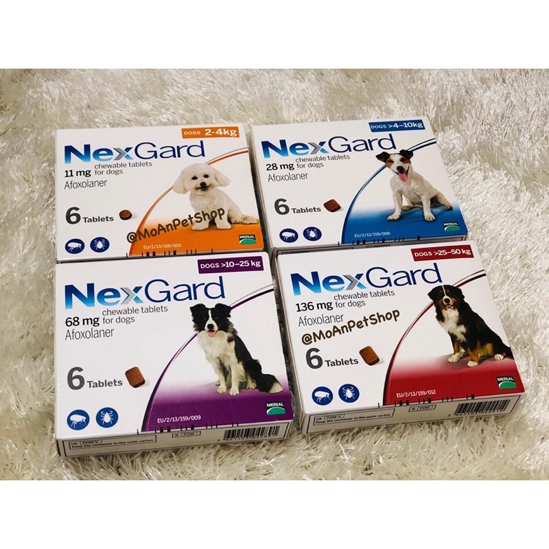 Nhai hỗ trợ sức khoẻ