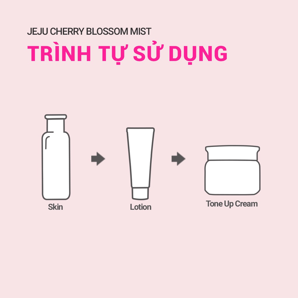 (Quà tặng) Bộ dưỡng ẩm sáng da hoa anh đào đảo Jeju innisfree Jeju Cherry Blossom Tone-up Cream Set