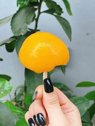 [SIÊU NGON]Đào ngâm Hồng Kiều
