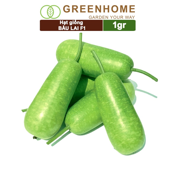 Hạt giống Bầu lai F1, gói 1g, dễ trồng, sai trái T10 |Greenhome