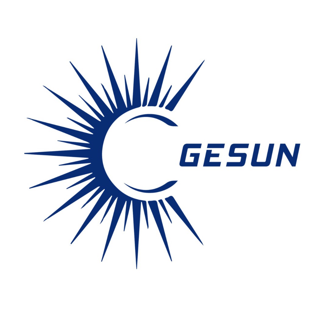Gesun Việt Nam
