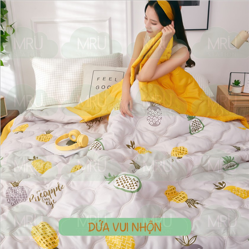 [Mền Poly Chần Bông] Chăn/Mền Cao Cấp Size Lớn 1.5 m x 2.0 m