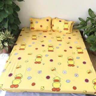 Sét ga gối poly