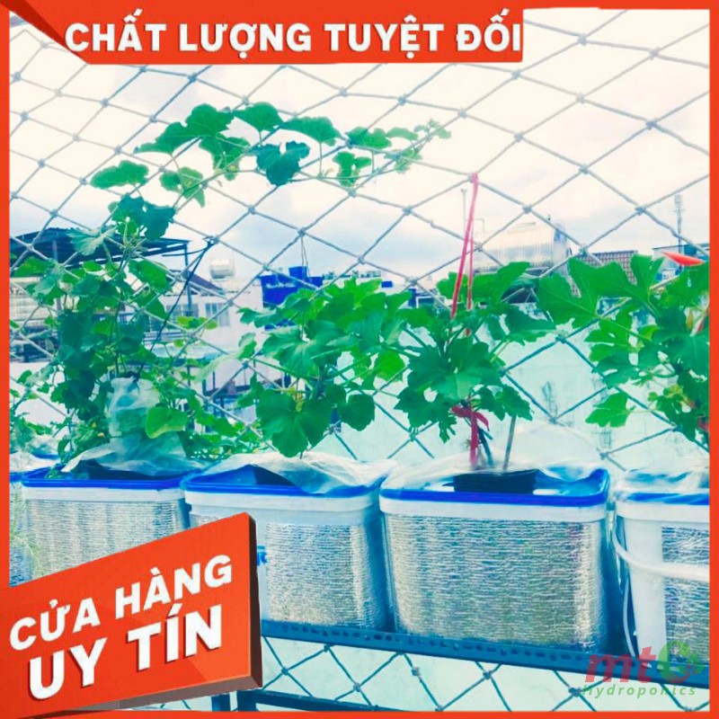 Thùng Thủy Canh Tĩnh Trồng Cây Ăn Quả