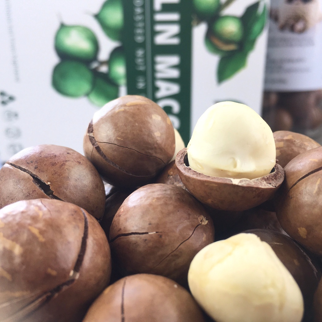 500g Hạt Macca Sạch Di Linh Lâm Đồng Dạng Túi