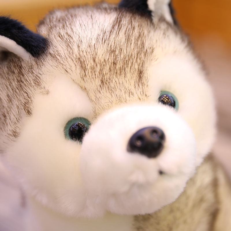 Dễ thương mô phỏng Husky Doll Đồ chơi nhồi bông Cún con búp bê Erha Búp bê kèn Quà sinh nhật