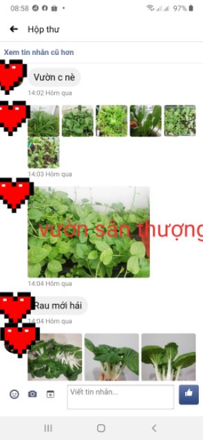 5kg Đất trồng chuyên Rau, Củ, Qủa, Hoa, Trộn Sẵn Đất Đỏ, Tro, Compoat, Phân Dê,.. Trồng Ngay