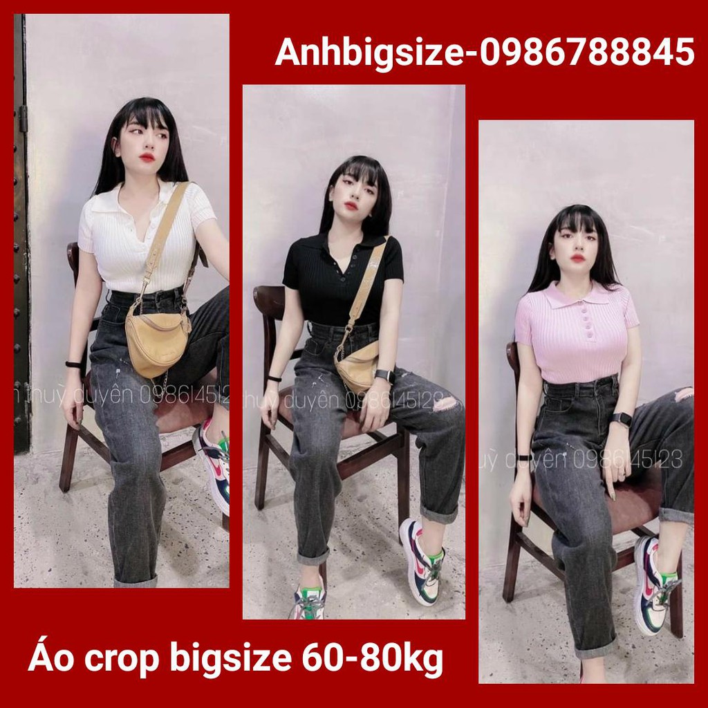 Áo len cổ bẻ nút - BIGSIZE 60-80KG | BigBuy360 - bigbuy360.vn