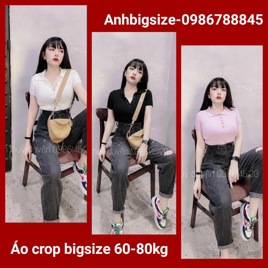 Áo len cổ bẻ nút - BIGSIZE 60-80KG