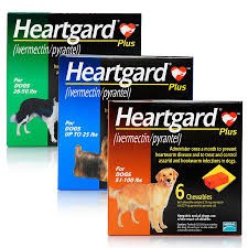 heart-gard sản phẩm loại bo giun cho cún