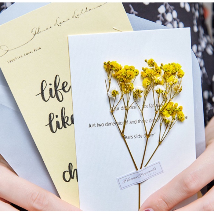 Đầu hoa baby sấy khô dùng trang trí thiệp, ly nước, bánh kem, resin, nến, xà phòng, handmade