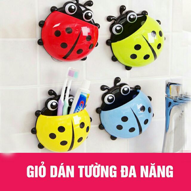 Khay đựng bàn chải hình bọ rùa đẹp chính hãng