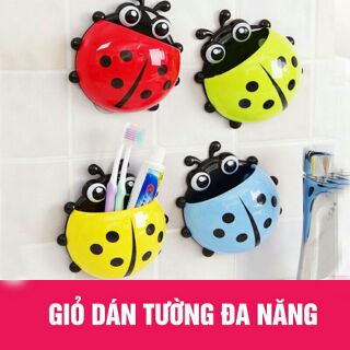 Khay đựng  bàn chải  hình  bọ rùa  đẹp  chính  hãng