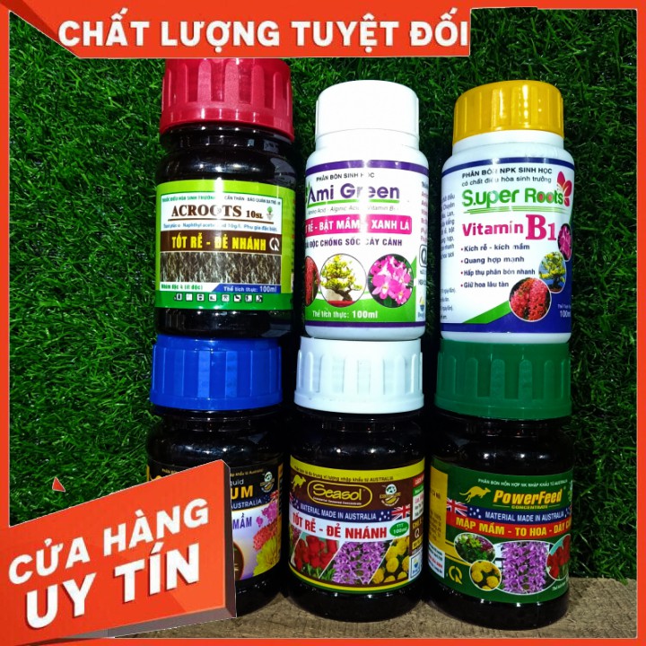 Combo 6 chai phân 🌳bón hữu cơ 🌲 Chăm sóc lan cao cấp chính hãng power feed +Sesol+Org-hum+Ami green+Super Root B1