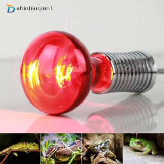 Đèn sợi đốt R80 100W 220-240V E27 sưởi ấm cho lồng nuôi bò sát kiểng