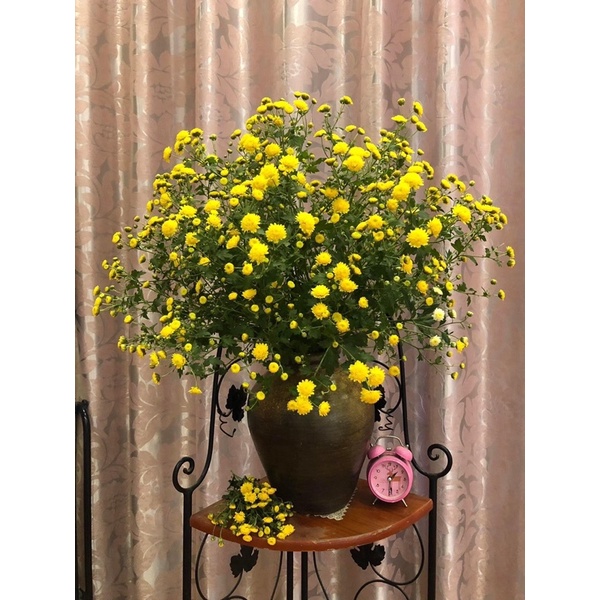 Bình gốm dáng chum to