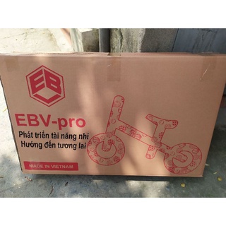 Xe Thăng bằng cao cấp phiên bản Pro 2019