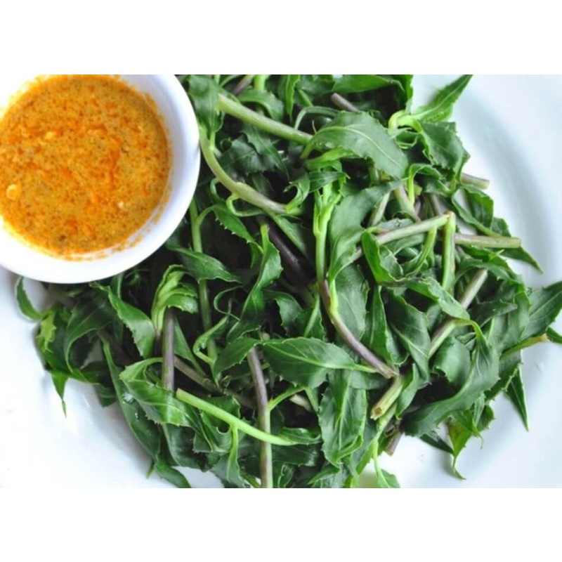 RAU LỦI TƯƠI  GIA LAI - ĐẶC SẢN TÂY NGUYÊN