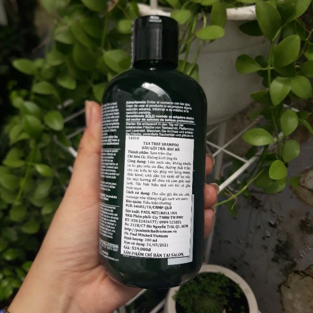 DẦU GỘI TRÀ XANH BẠC HÀ CHÓNG GÀU KHÁNG KHUẨN TEA TREE PAUL MITCHELL