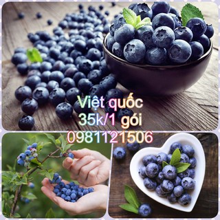 Hạt giống cây việt quốc. Combo 2 gói tặng 2 viên nén ươm hạt và kích mầm.
